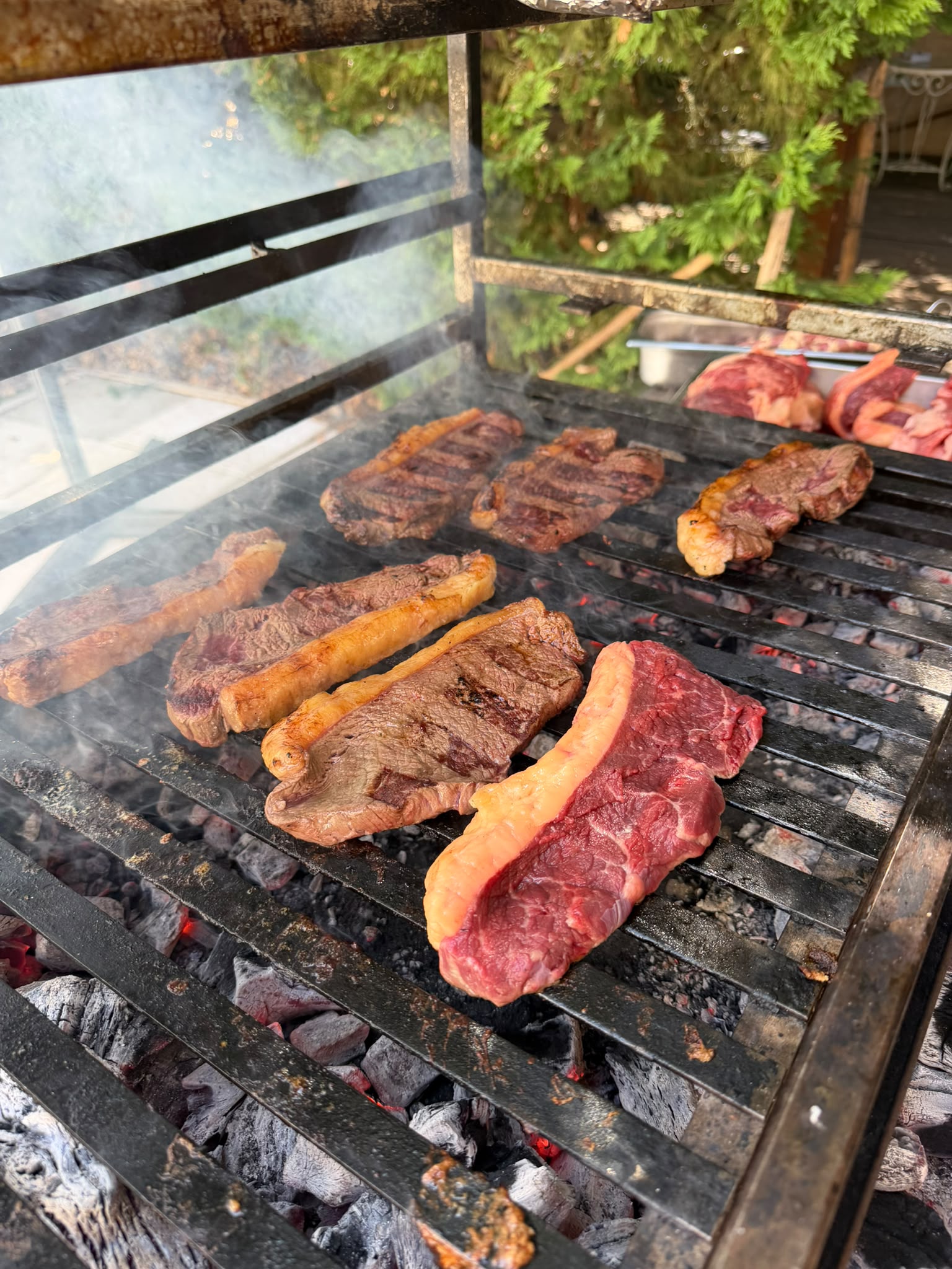 Picanha na brasa a grelhar sobre carvão ardente numa parrilla ao ar livre